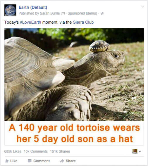 LoveEarth-post-tortoise